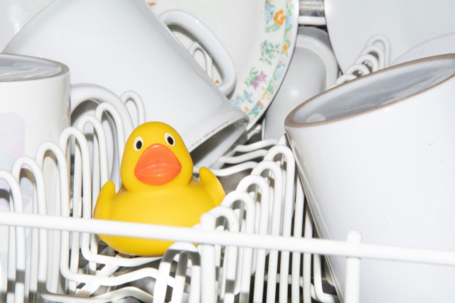 dishwasher_duck